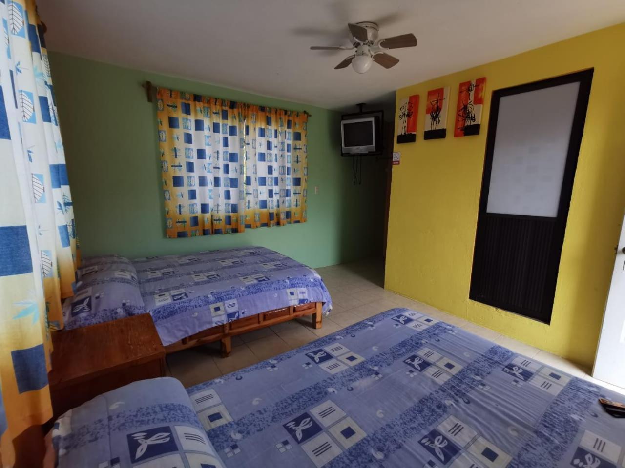 Habitación Doble - 2 camas